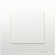 1G BLANK PLATE, WE